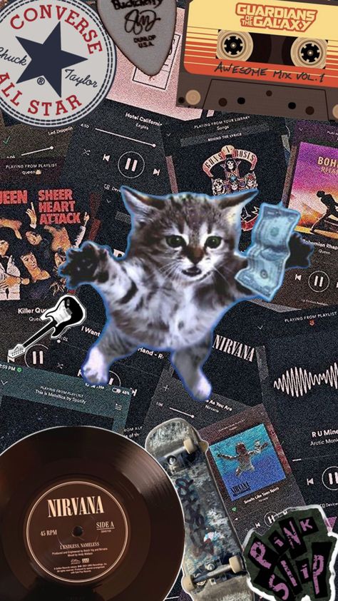 Cat surrounded by a dense collage of stickers